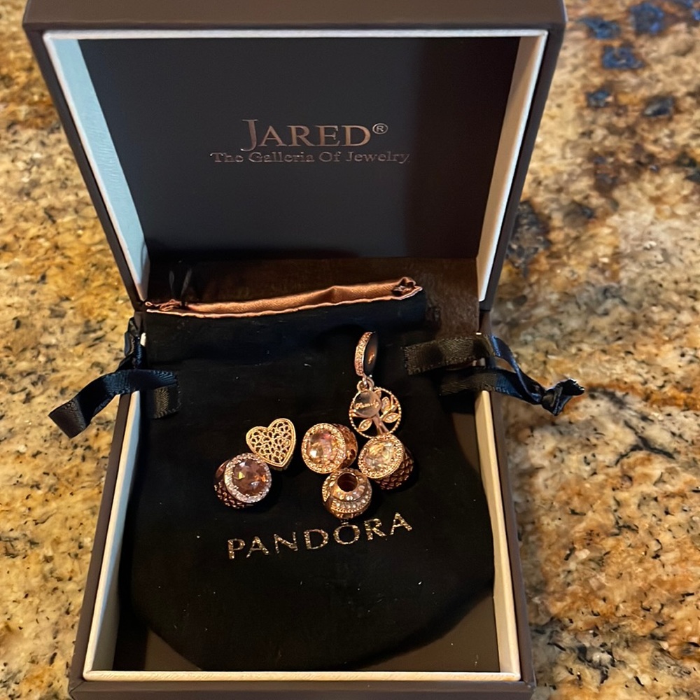 PANDORA Bandle of 6 Rose gold charms